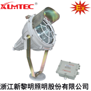 BTd92(B)系列防爆投光灯(IIB)