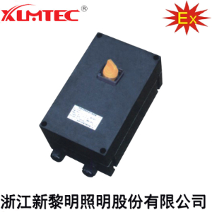 BLG8030系列防爆防腐隔离开关(IIC、Ex tD)