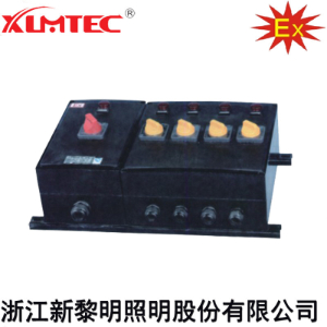 BXM(D)8030系列防爆防腐照明(动力)配电箱(IIC、Ex tD)