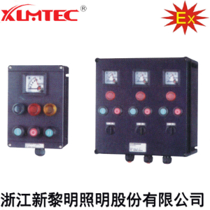 ZXF8044系列防爆防腐控制箱(IIC、Ex Td)